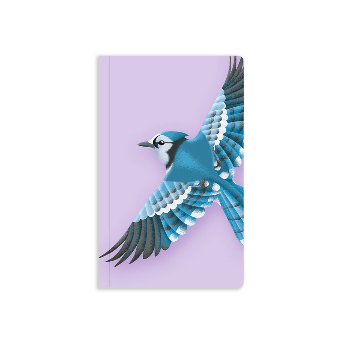 Illustrated blue jay mid-flight on a purple background