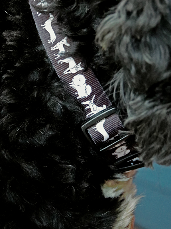 close up on black dog collar with mixed dog illustration in white featured on a black dog