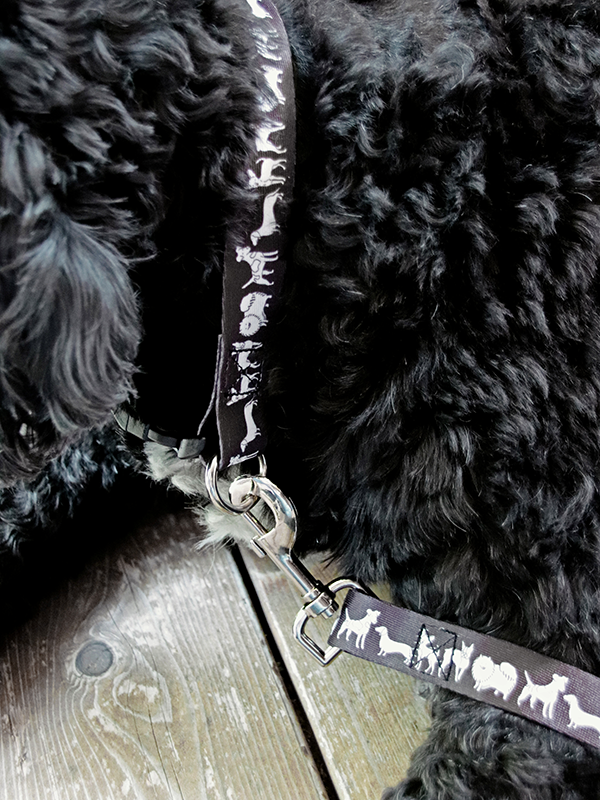 close up of black dog collar with mixed dog illustration in white with matching leash attached