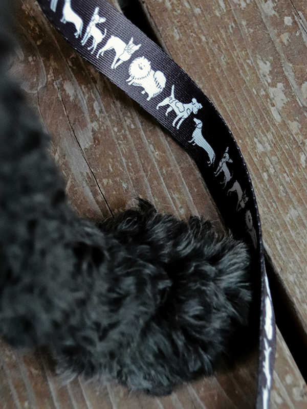 close up image of dog illustration pattern on the leash